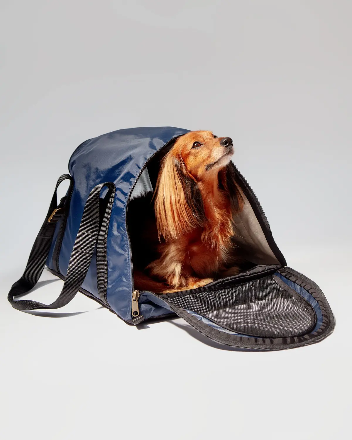 Cotton Ripstop Airline Carrier In Navy Nylon (Dog & Co. Exclusive - Made In The Usa) 1