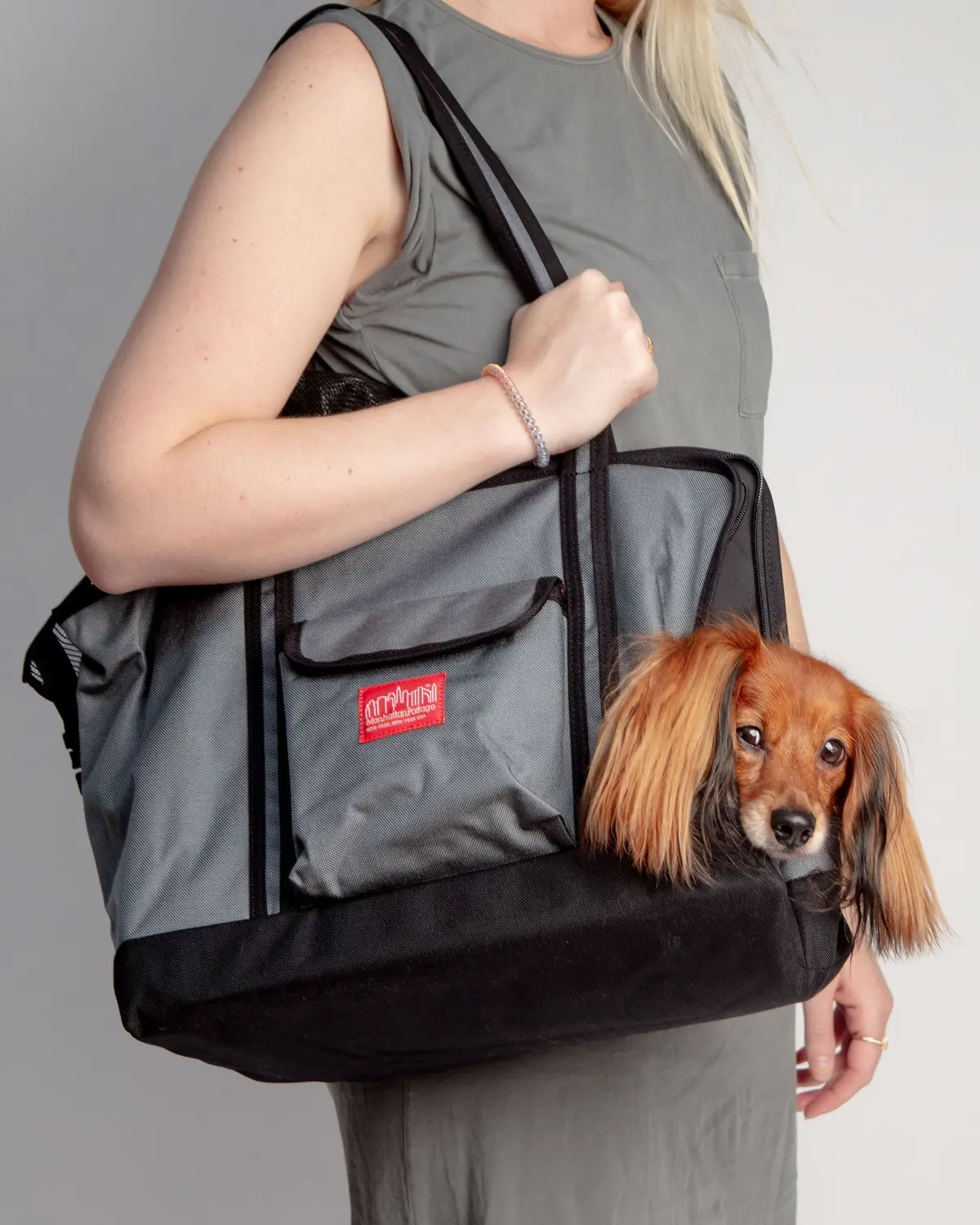 Open Or Closed Pet Tote Bag In Grey (Small) 1