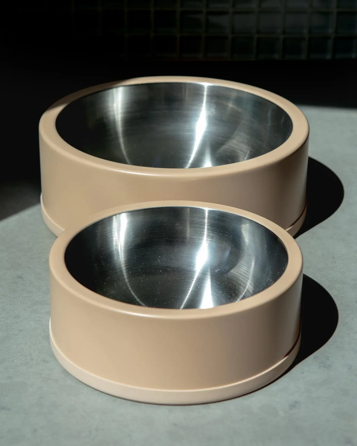 Wild One Dog Bowl In Tan 1