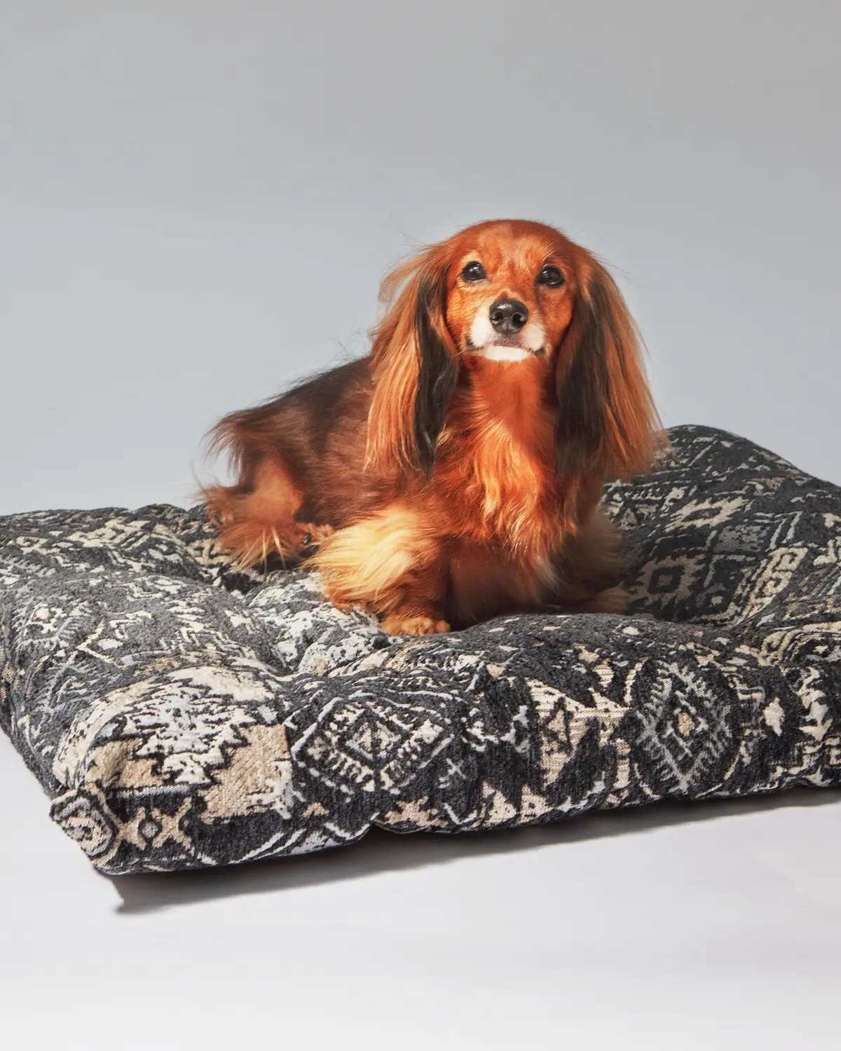 Tufted Dog Cushion In Mendocino (Final Sale) 1