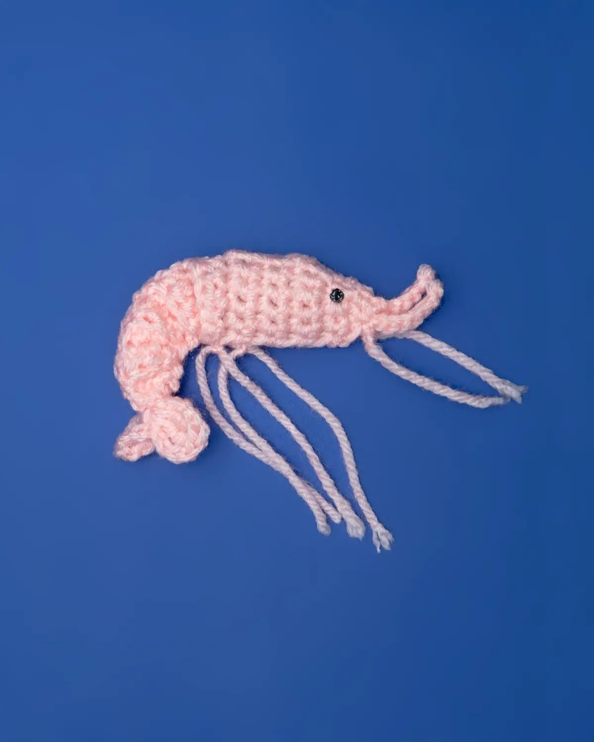 Shrimp Catnip Toy (Made In The Usa) 1