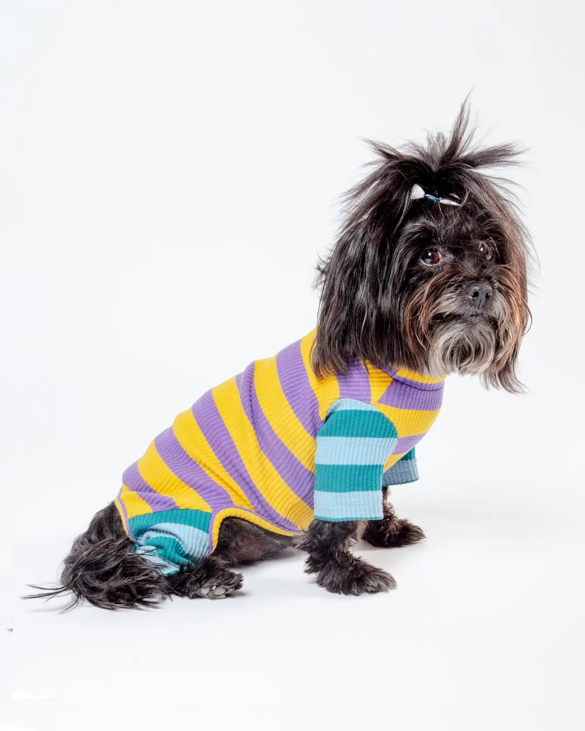 Little Beast X Dusen Dusen | Macaroni Dog Onesie (Final Sale) 1