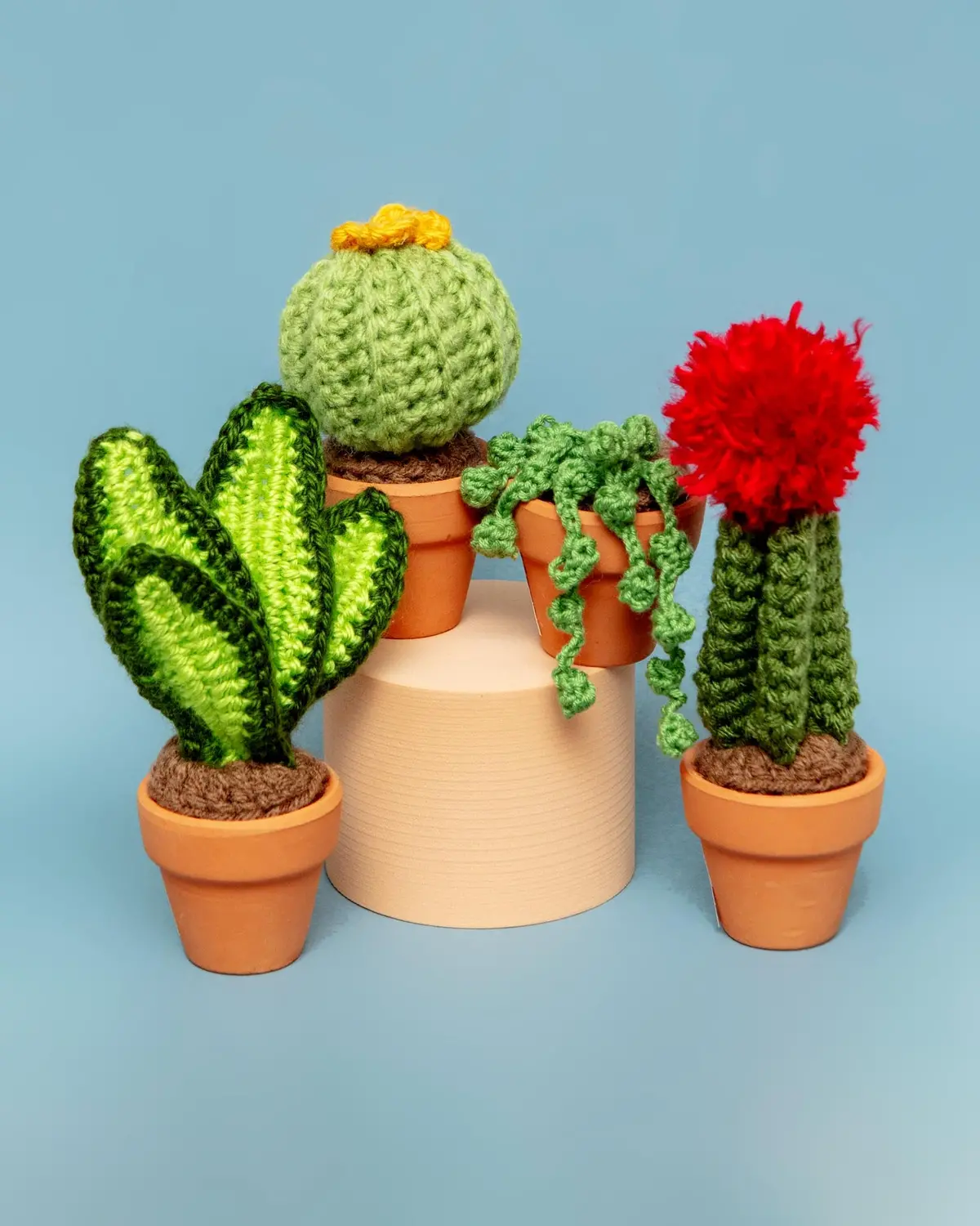 Pet-Safe Crochet Mini Cacti & Succulents (Made In The Usa) 1