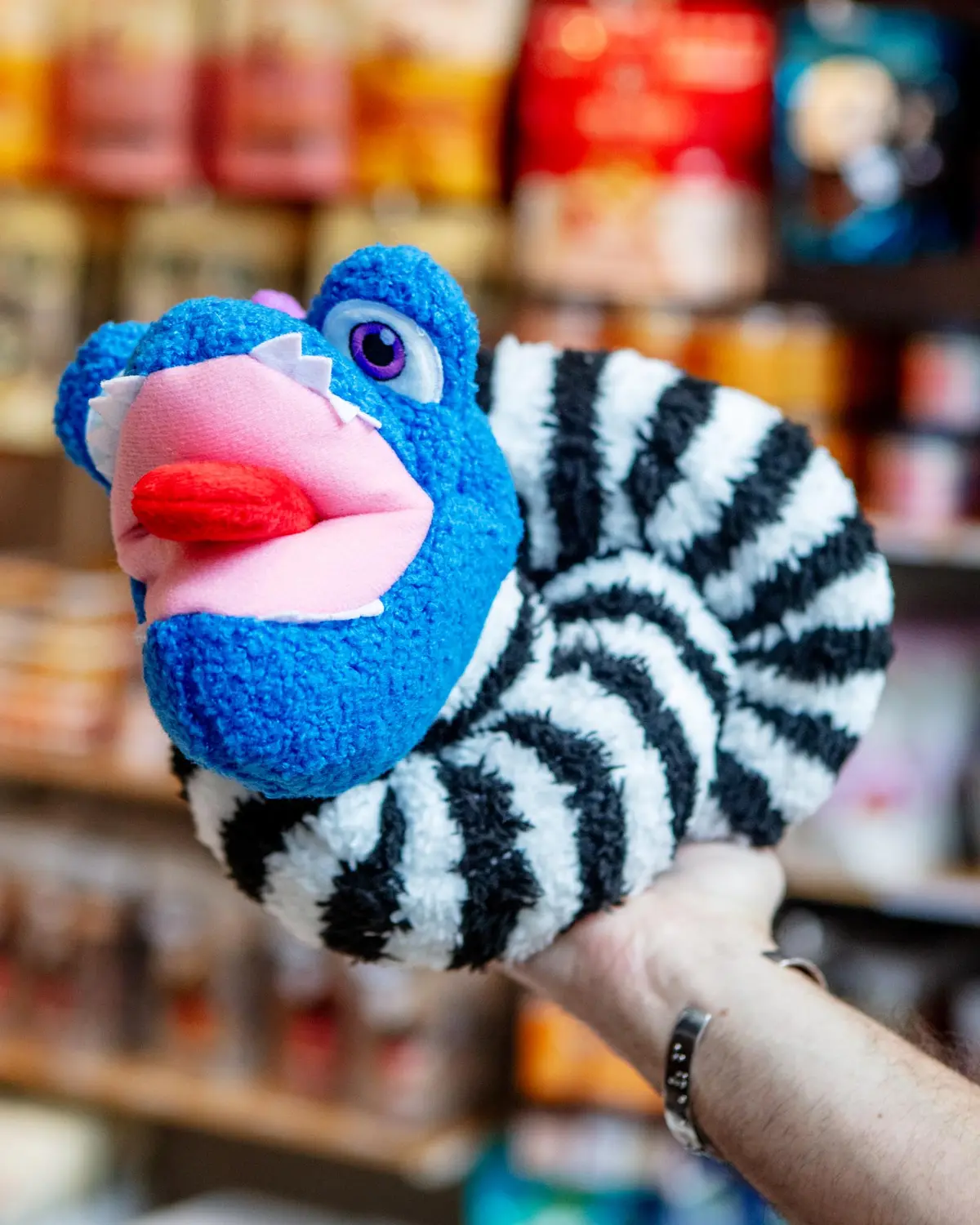 Eyesaur Crinkly Squeaky Dog Toy 1