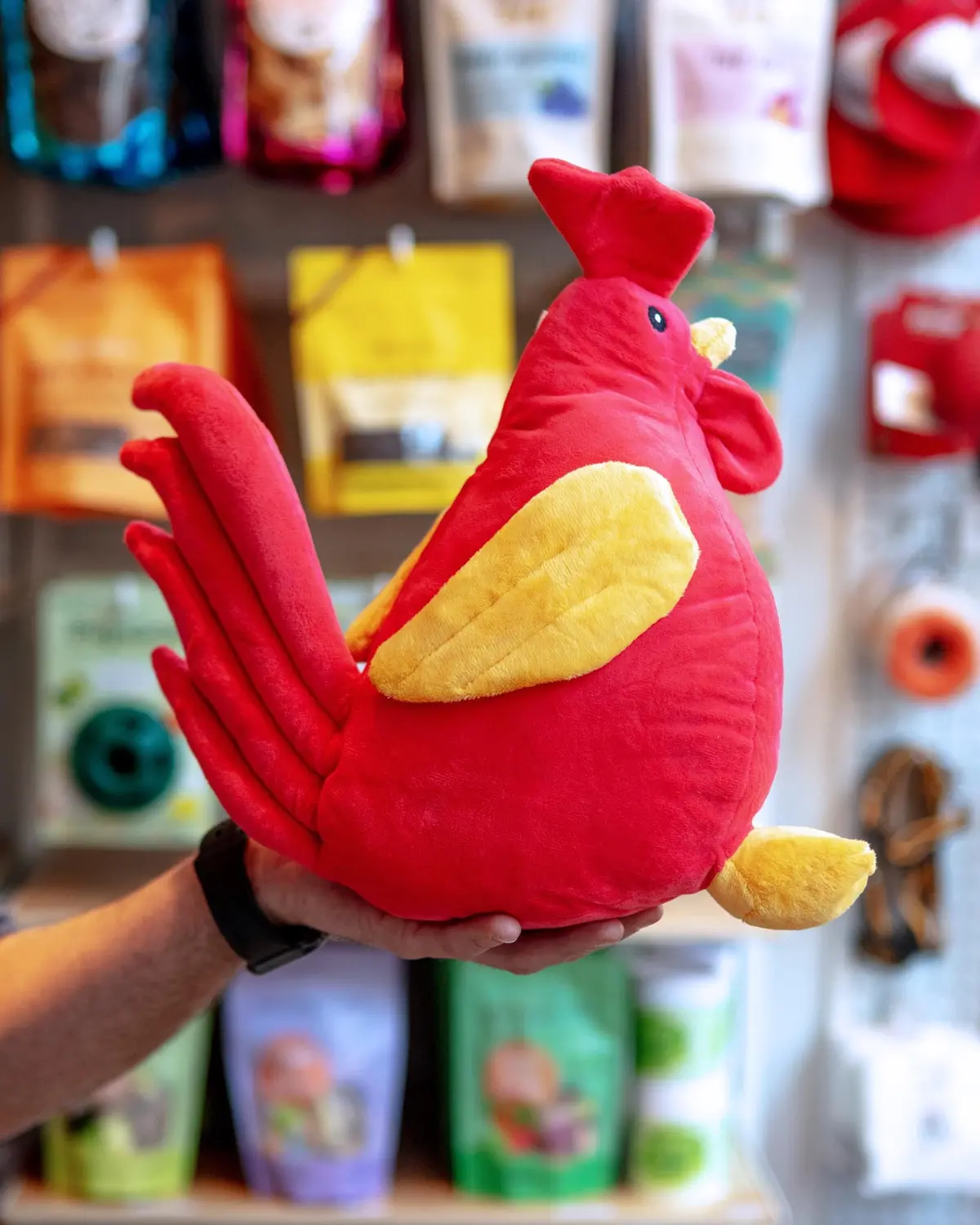 Ricky The Rooster Squeaky Plush Dog Toy 1