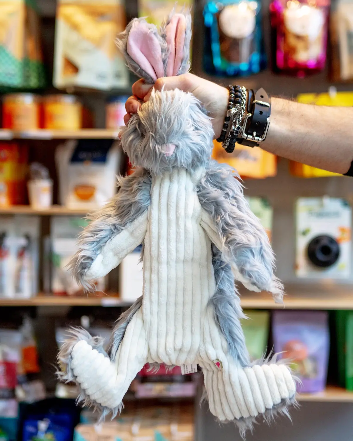 Birch Bunny Durable Plush Dog Toy 1