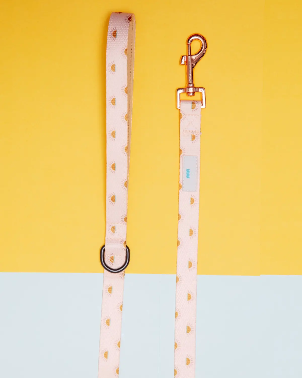 Nylon Dog Lead In Joshua Tree Print 1
