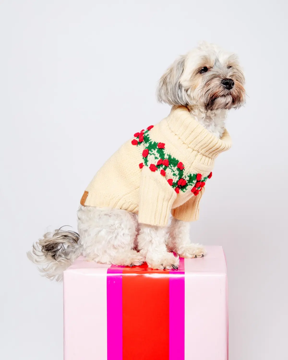 Holly Bobble Dog Sweater 1