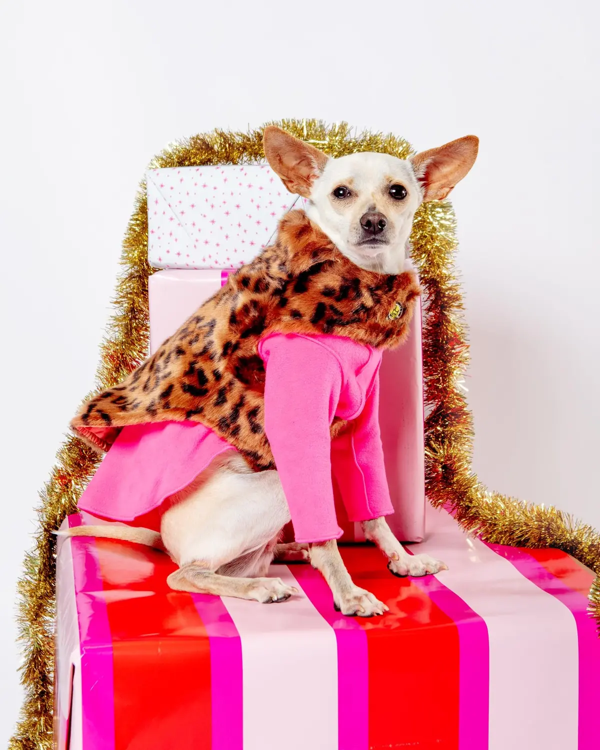 Luxe Leopard Faux Fur Dog Jacket (Final Sale) 1