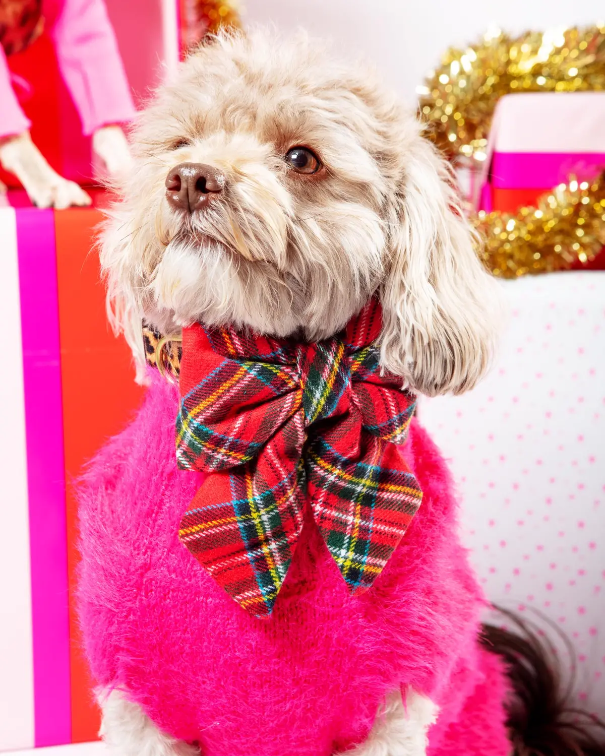 Tartan Plaid Flannel Holiday Dog Lady Bow 1