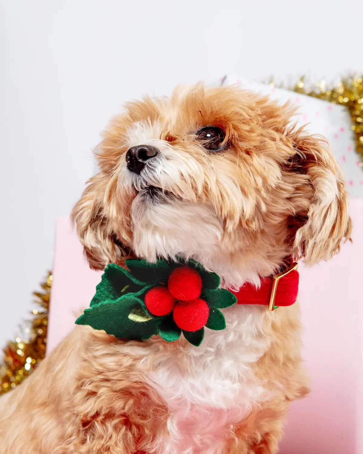 Holly Holiday Dog Collar Flower 1