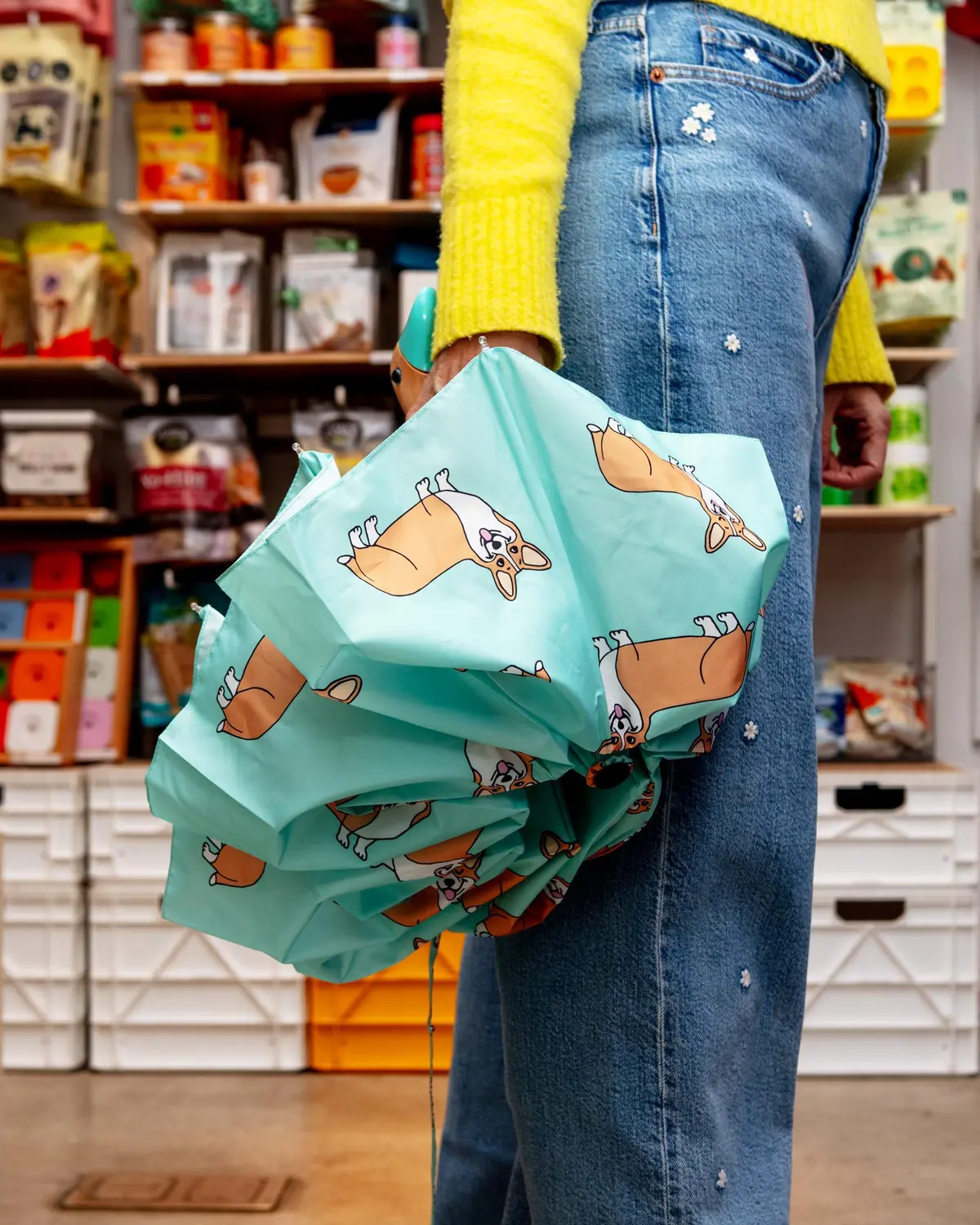 Compact Eco-Friendly Umbrella (In Doxie, Frenchie, Corgi, Matisse, Arty Cats) 1