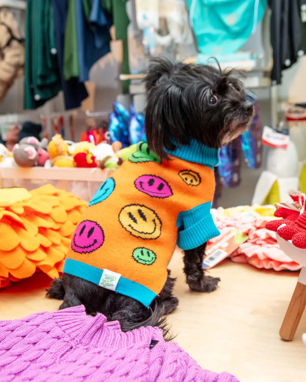 How Are You Feeling? Dog Sweater 1