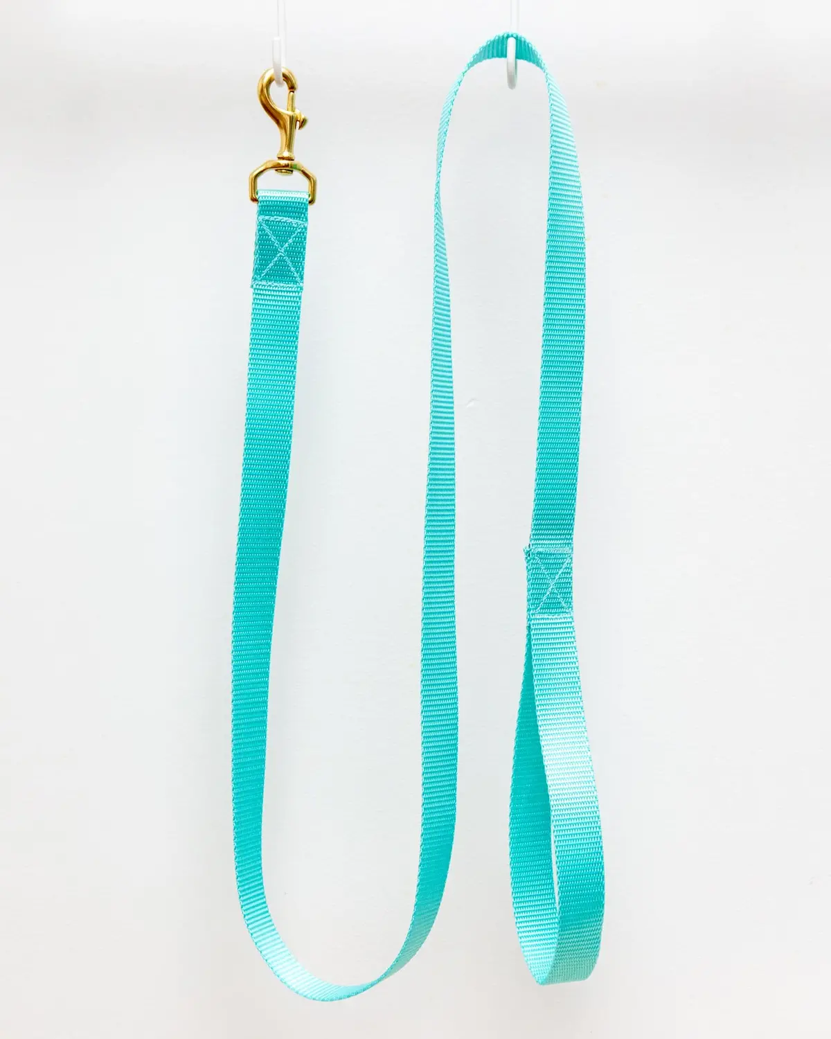 Basic Nylon Dog Leash In Aqua (Made In The Usa) 1