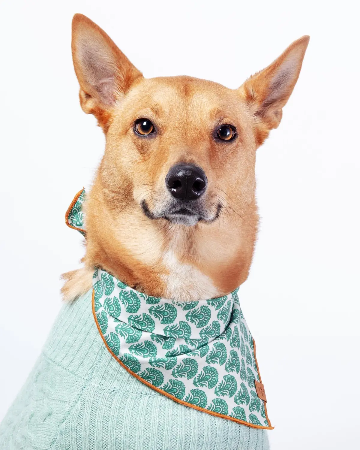 Verde Dog Bandana (Final Sale) 1