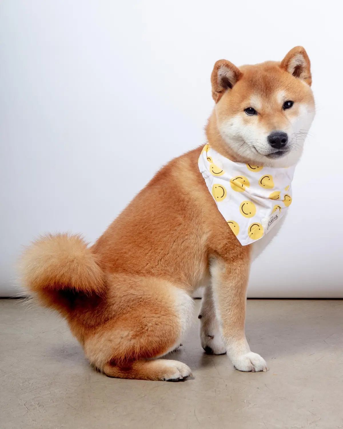 Elsie Dog Bandana (Final Sale) 1