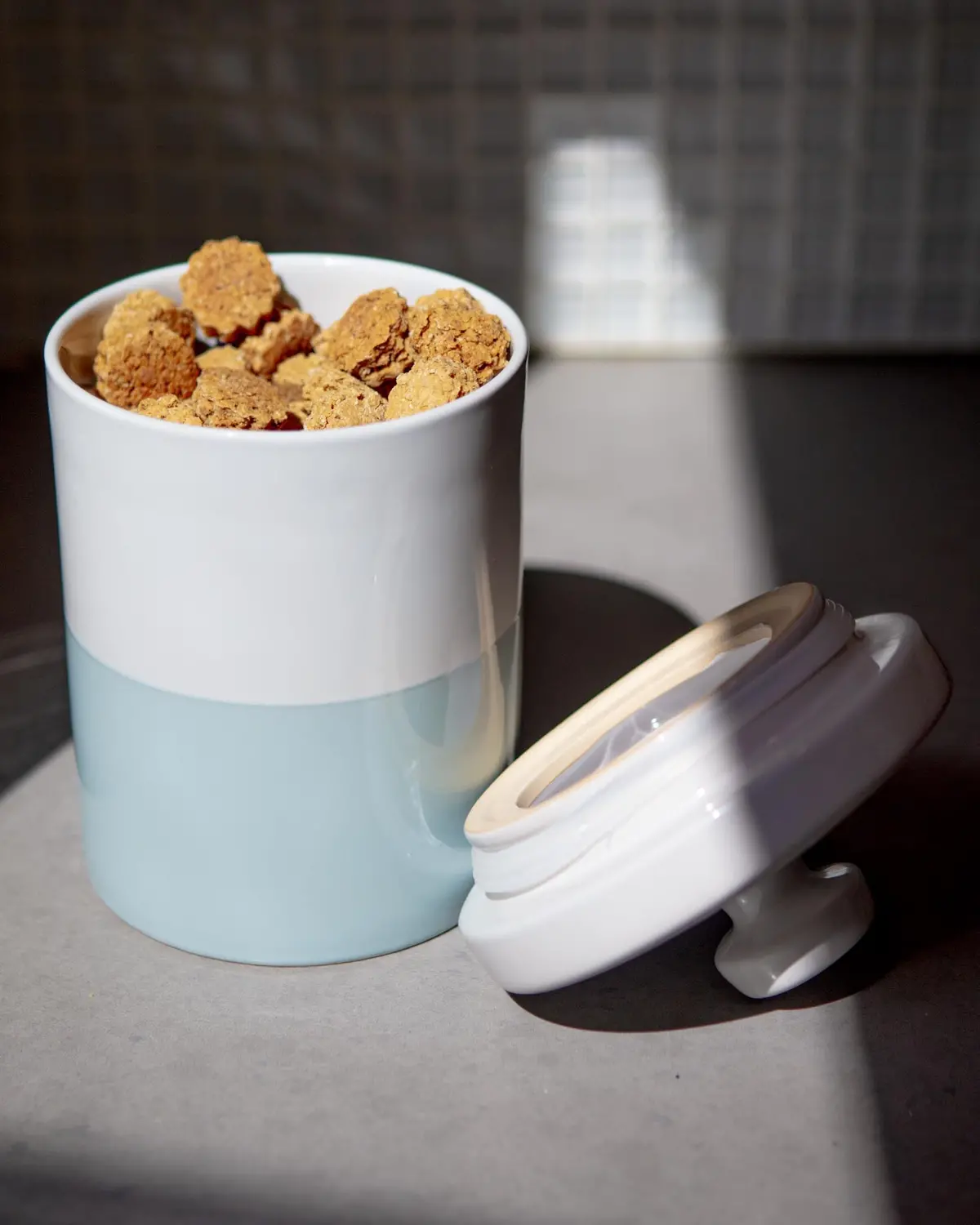 Ceramic Dog Treat Jar Dipped Color In Cloud 1