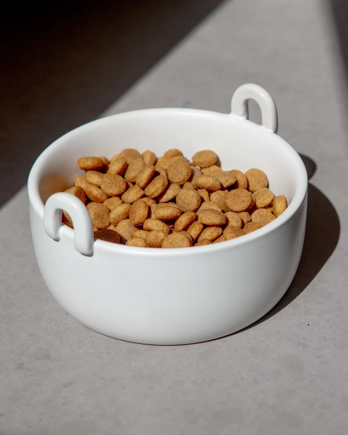 Handle It Ceramic Dog Bowl In White (Final Sale) 1