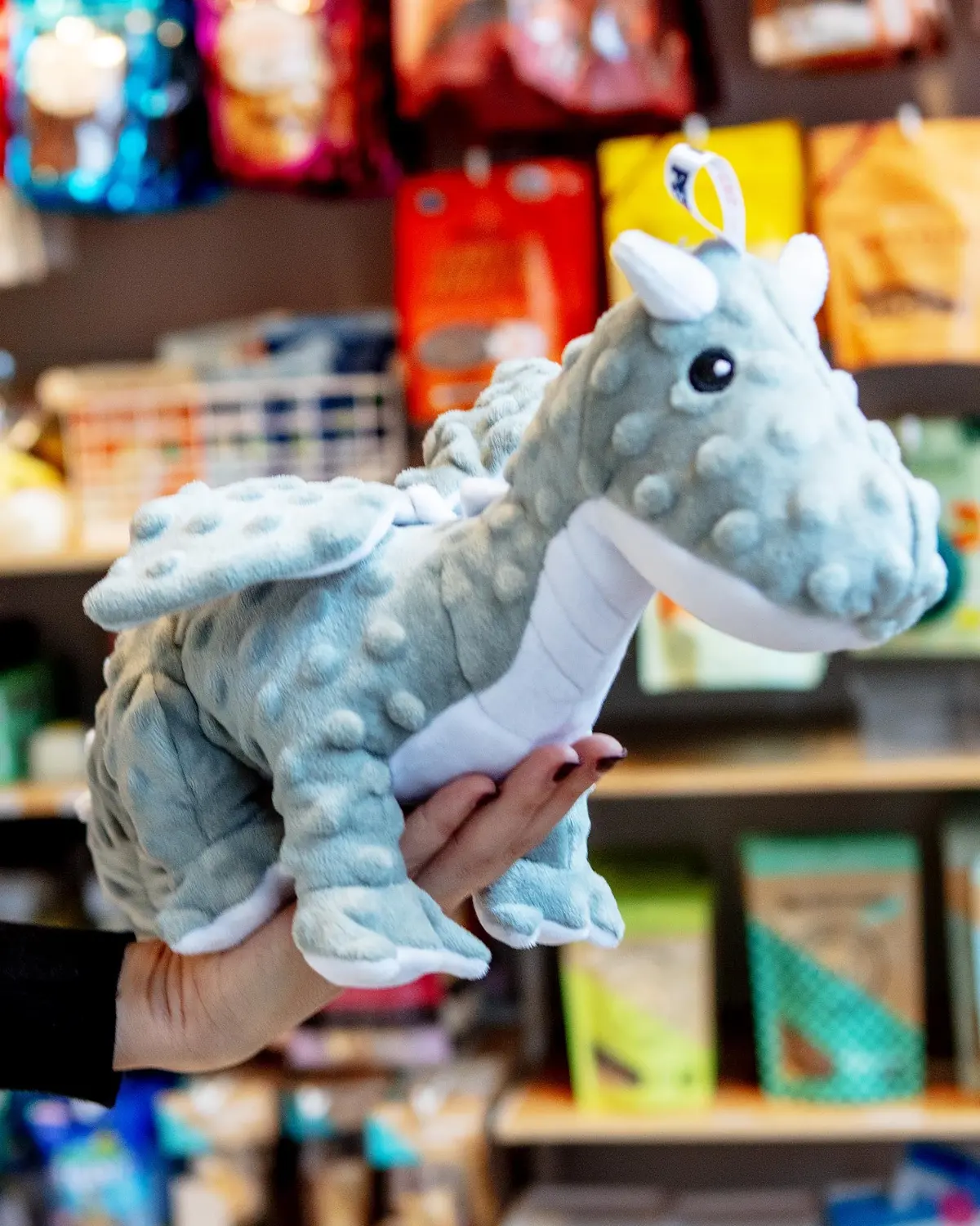 Dotty Dragon Dog Plush Squeaky Dog Toy 1
