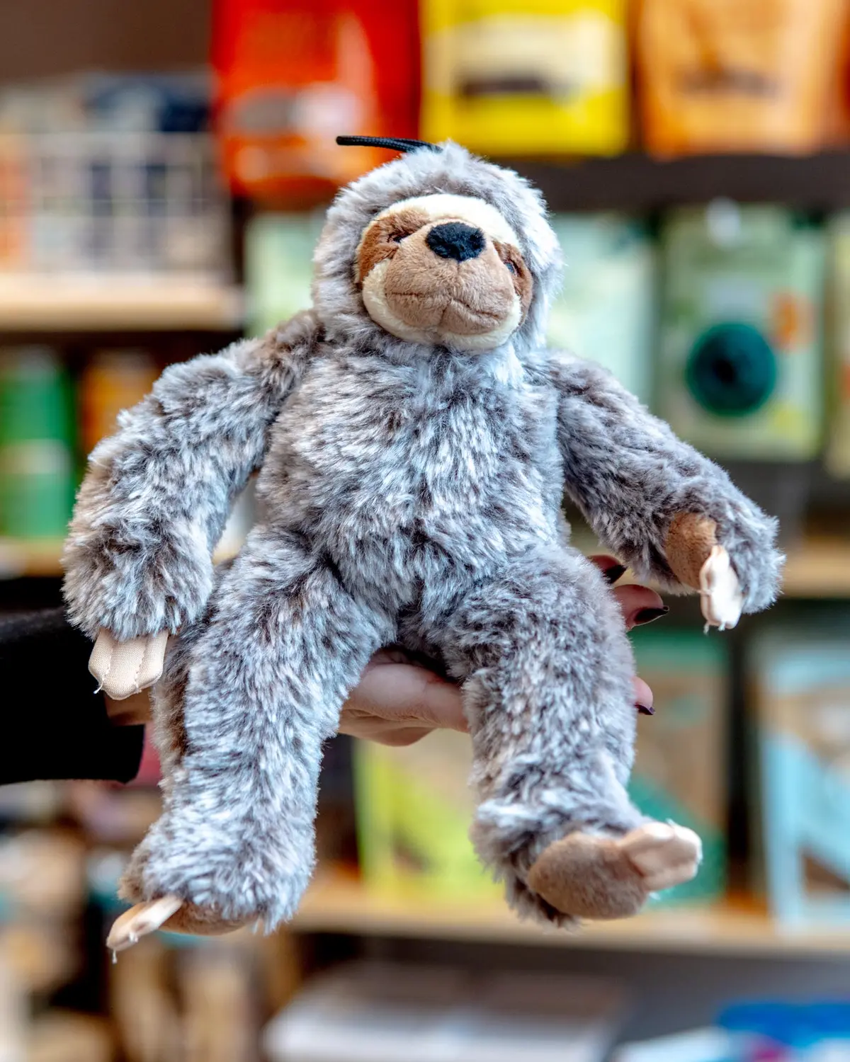 Sonny The Sloth Plush Dog Toy 1
