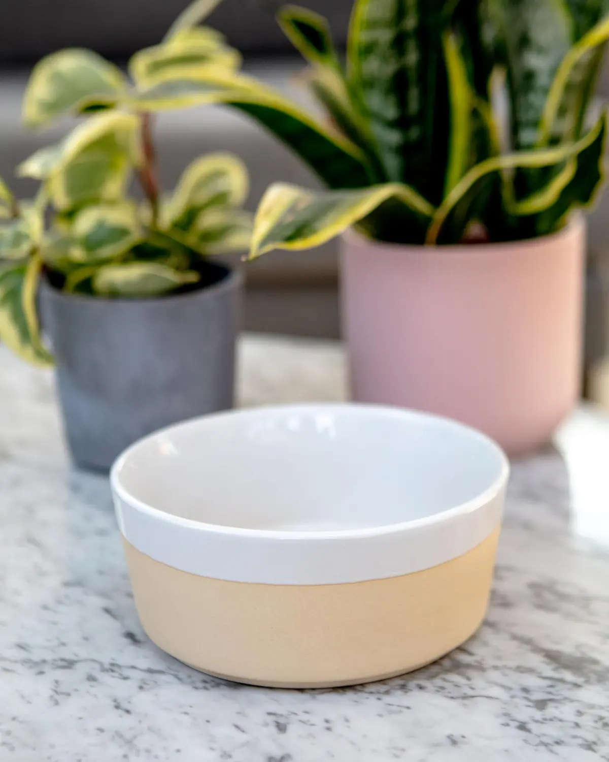 Textured Dipper Ceramic Dog Bowl In White (Final Sale) 1