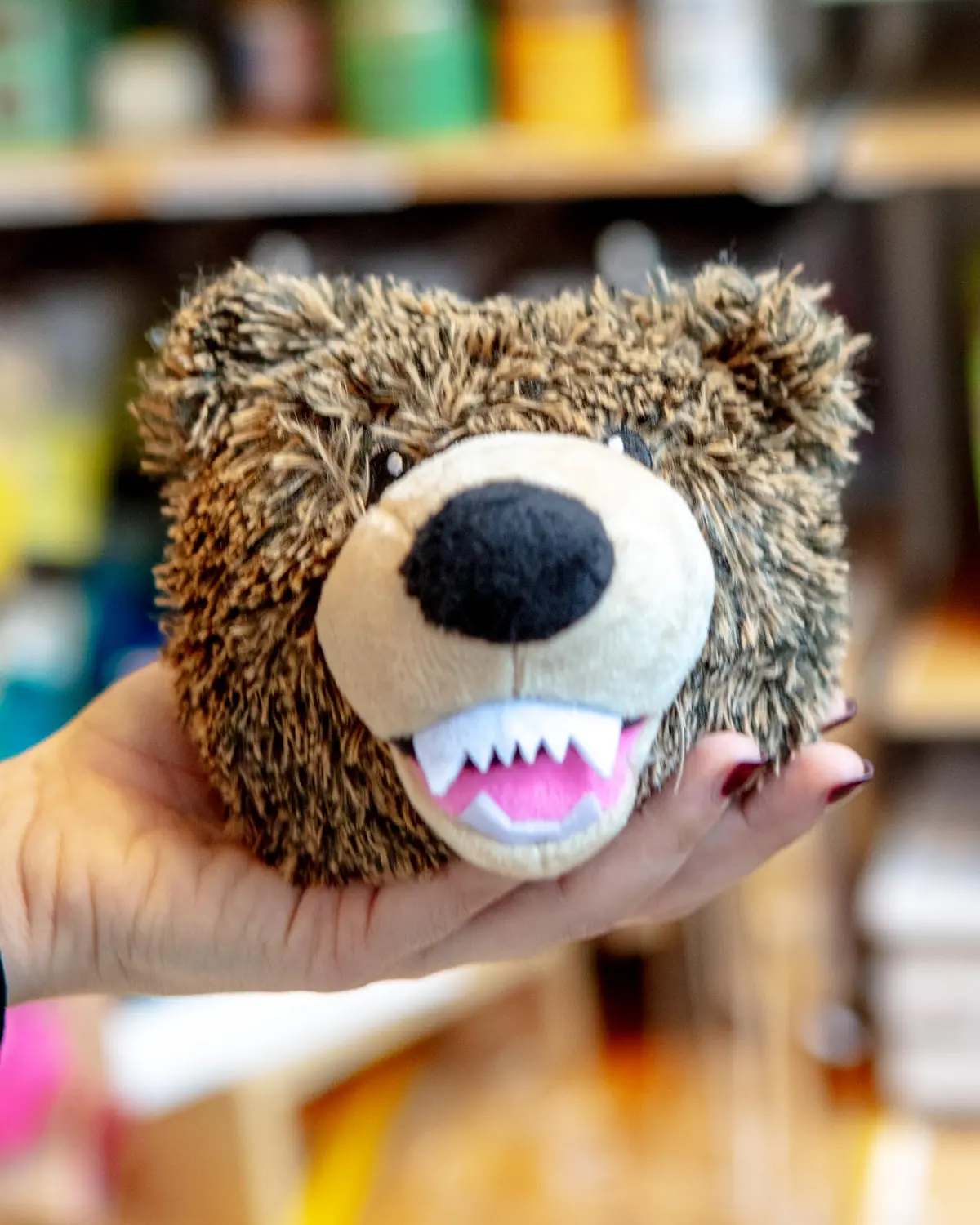 Grizzly 2-In-1 Fetch Ball Dog Toy 1