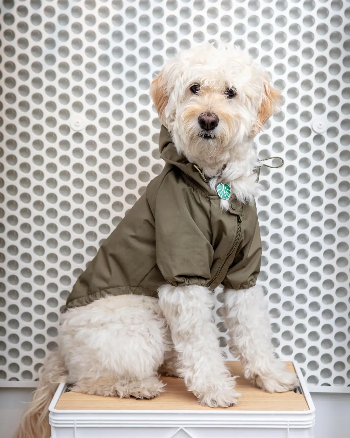 Brooklyn Nylon Water Resistant Dog Jacket (Final Sale) 1