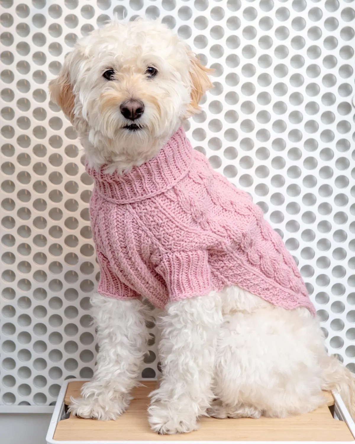 Downtown Roll Neck Dog Sweater In Rose (Final Sale) 1