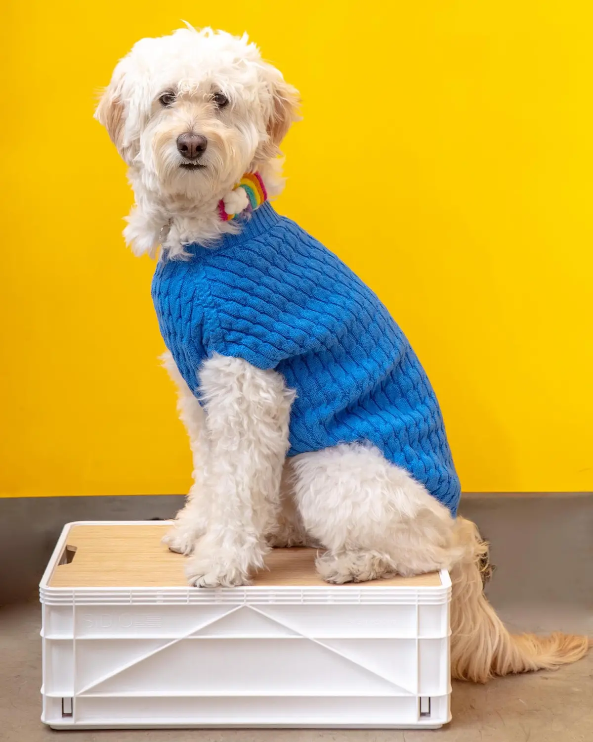 The Uptown Cable Knit Sweater In French Blue American Cotton (Made In Nyc) (Final Sale) 1