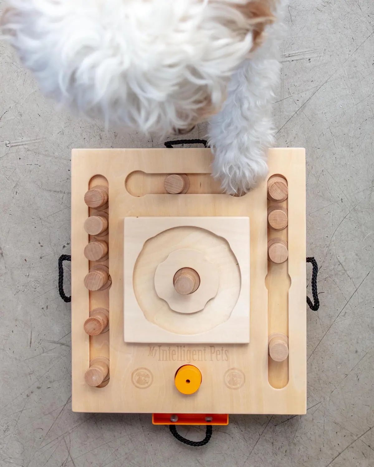Turtle Interactive Dog Treat Puzzle Toy 1