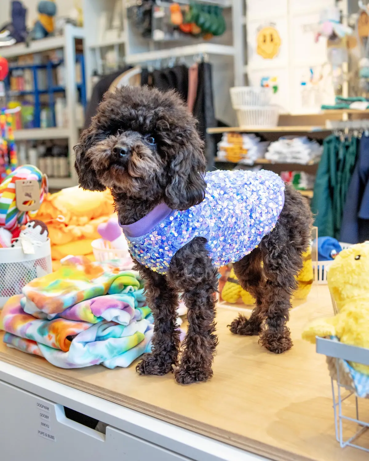 Lavender Sequin Dog Shirt (Made In The Usa) (Final Sale) 1