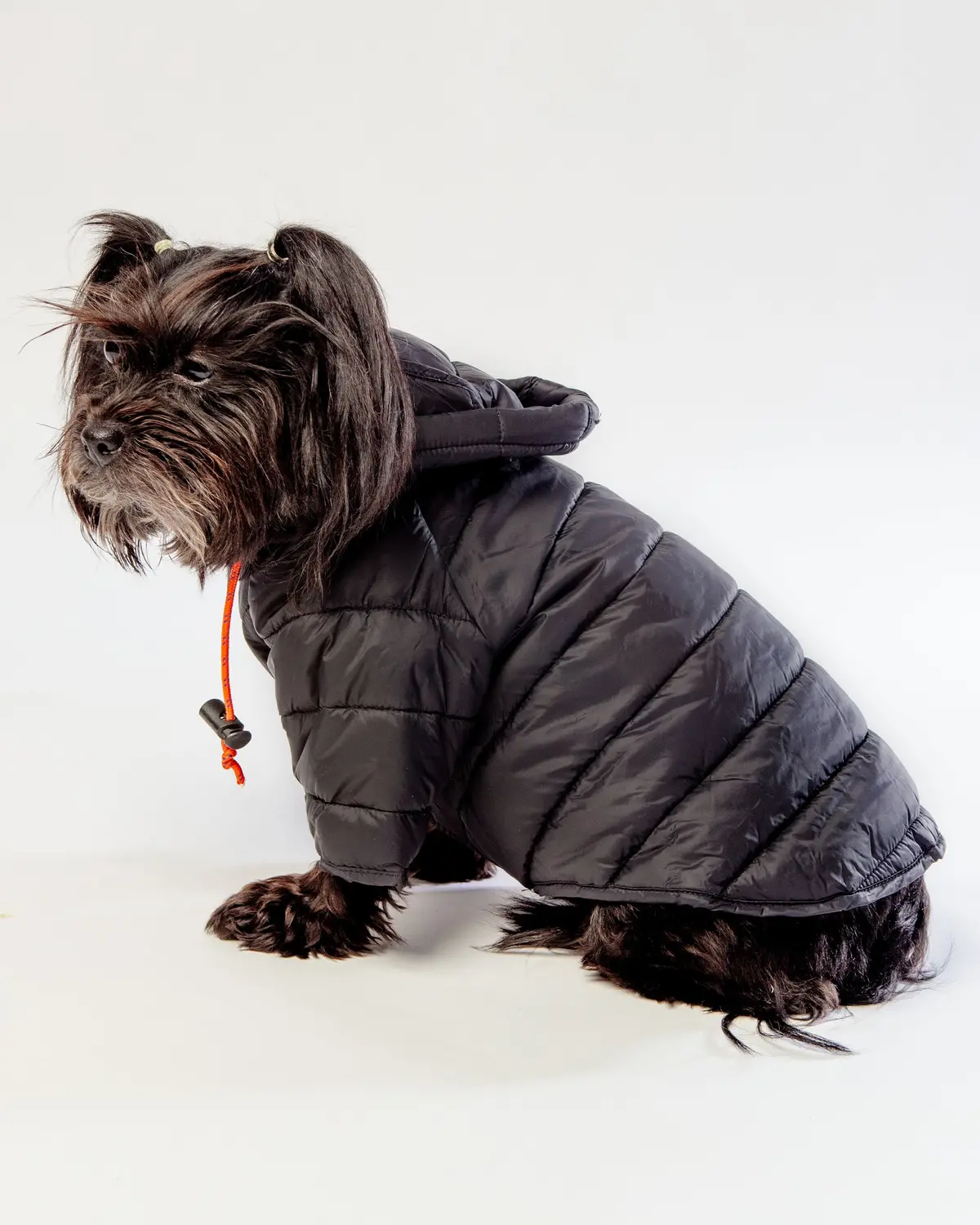 Dog Puffer Jacket In Black << Final Sale >> 1