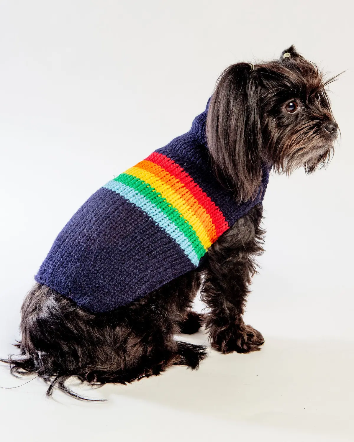 Alpaca Good Vibes Knit Dog Sweater << Final Sale >> 1