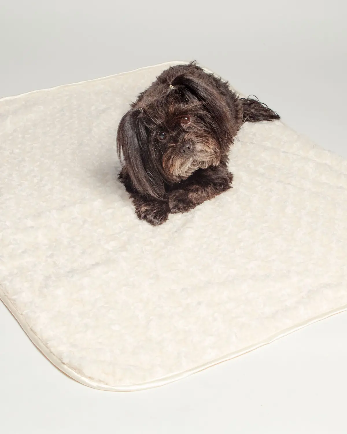 Rosebud Dog Blanket In Cream (Made In The Usa) 1