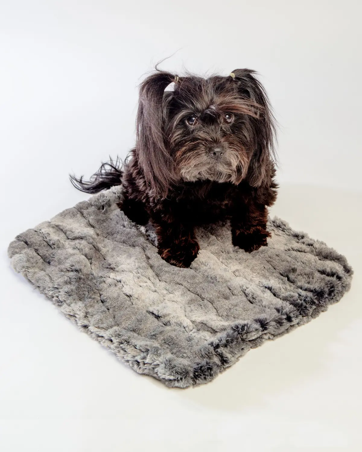 Luxe Granite Plush Dog Blanket (Made In The Usa) 1