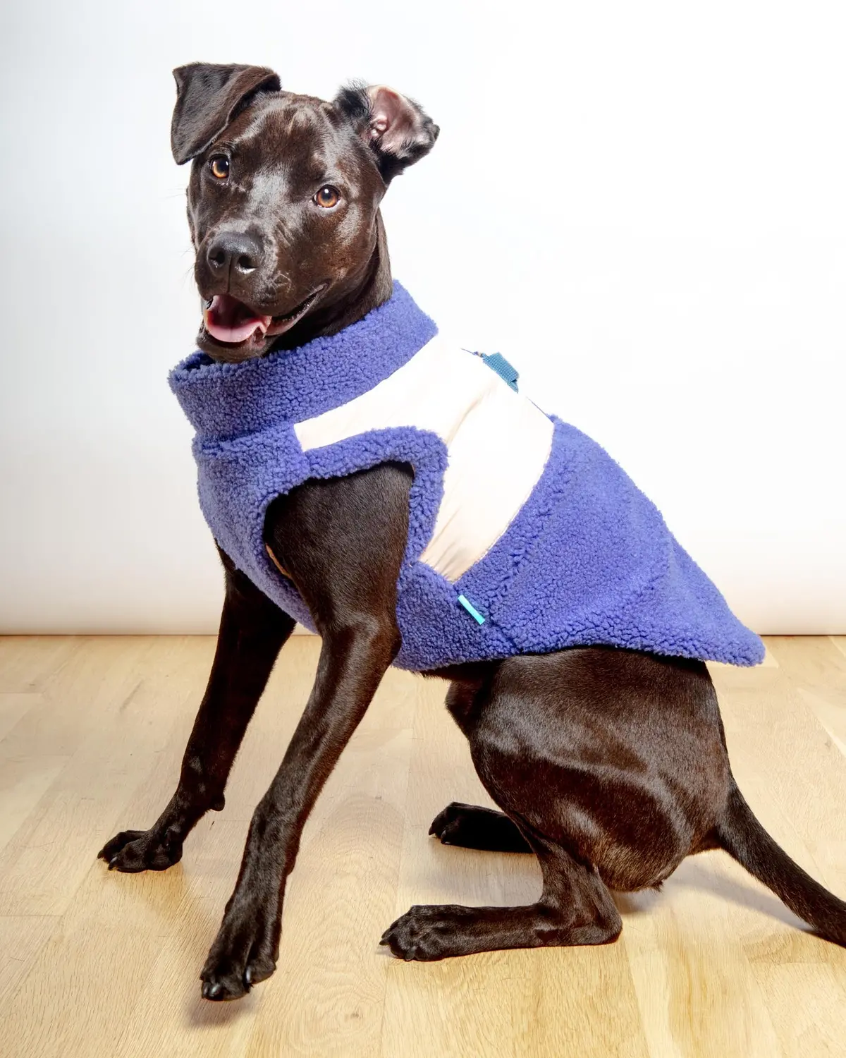 Zip-Up Sherpa Dog Vest In Moonstone Blue (Final Sale) 1