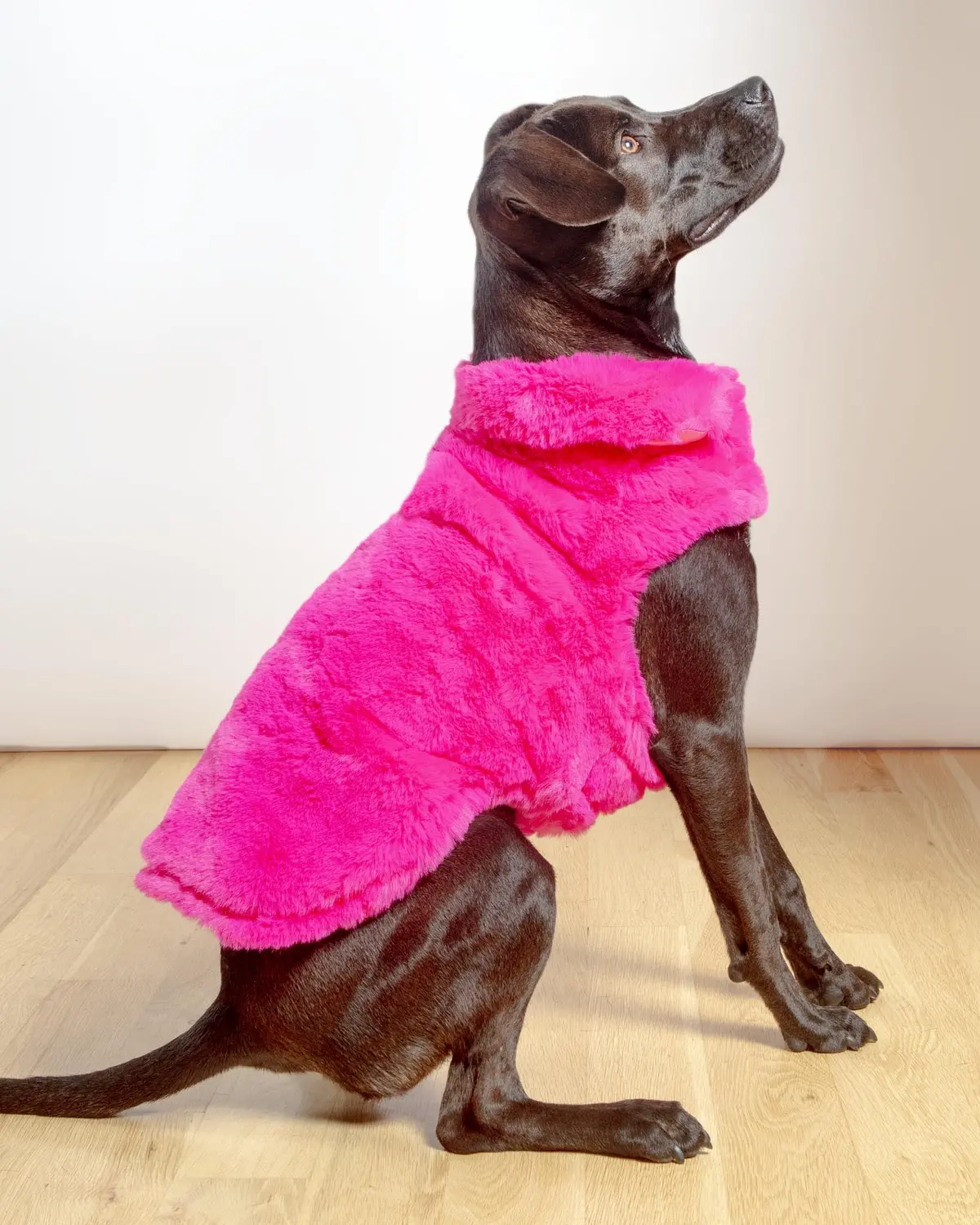 Faux Fur Dog Coat In Neon Pink (Final Sale) 1