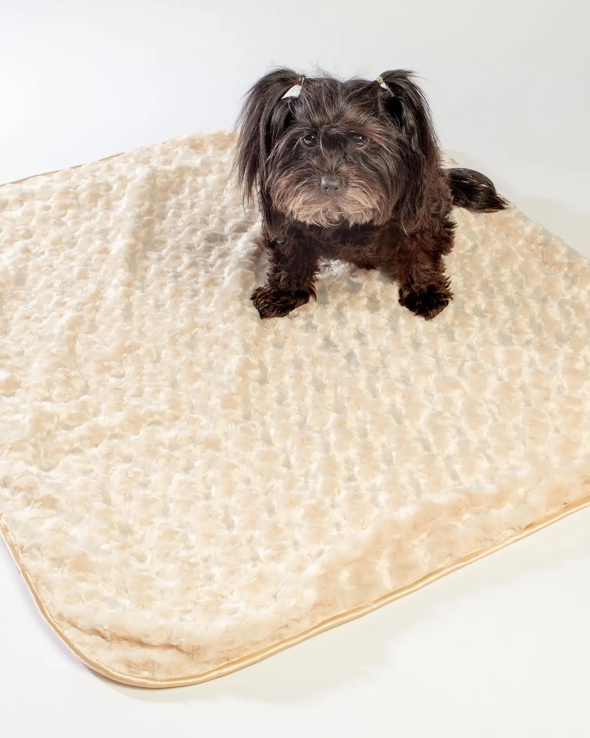 Rosebud Dog Blanket In Tan (Made In The Usa) 1