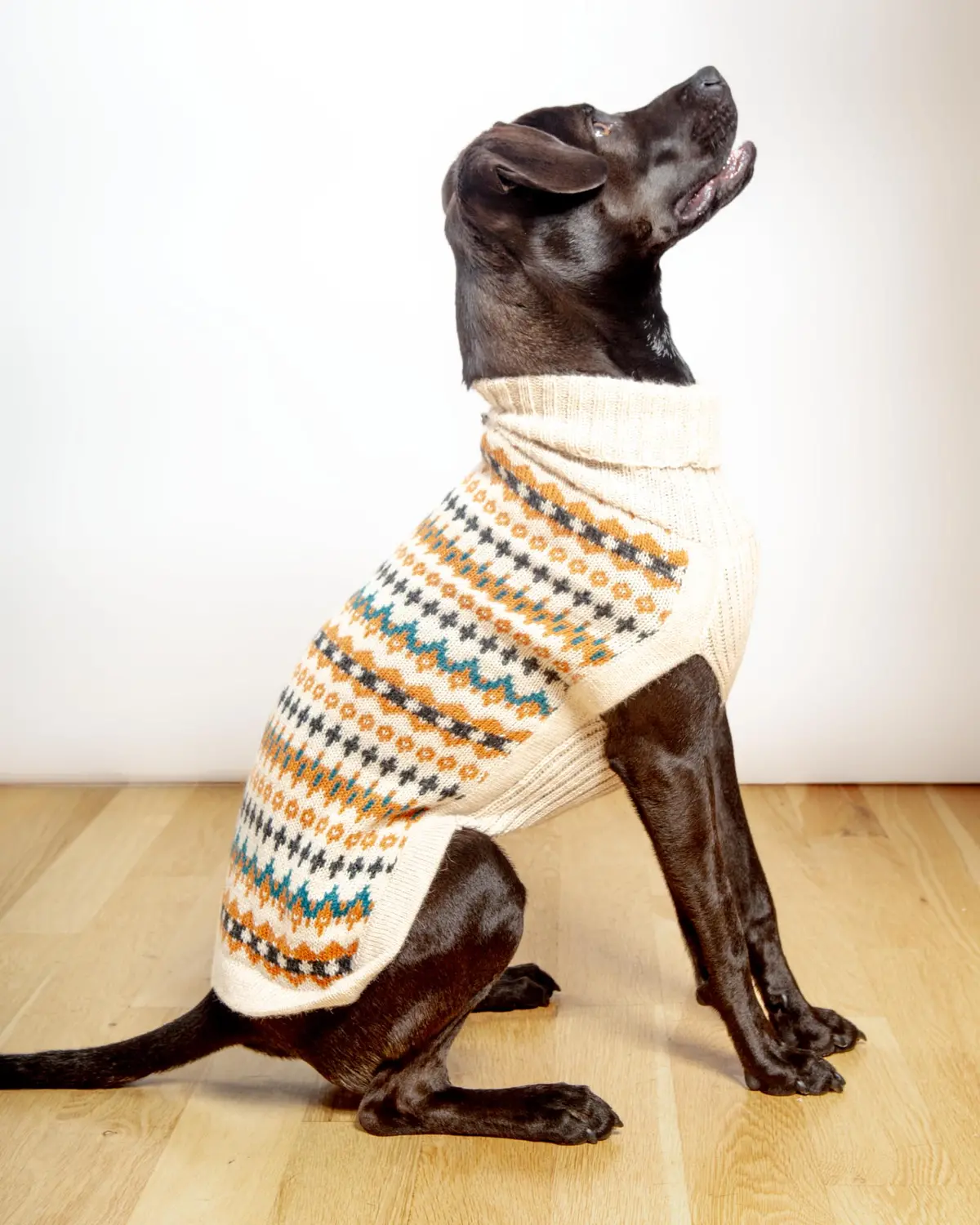 Golden Dreams Alpaca Dog Sweater (Final Sale) 1