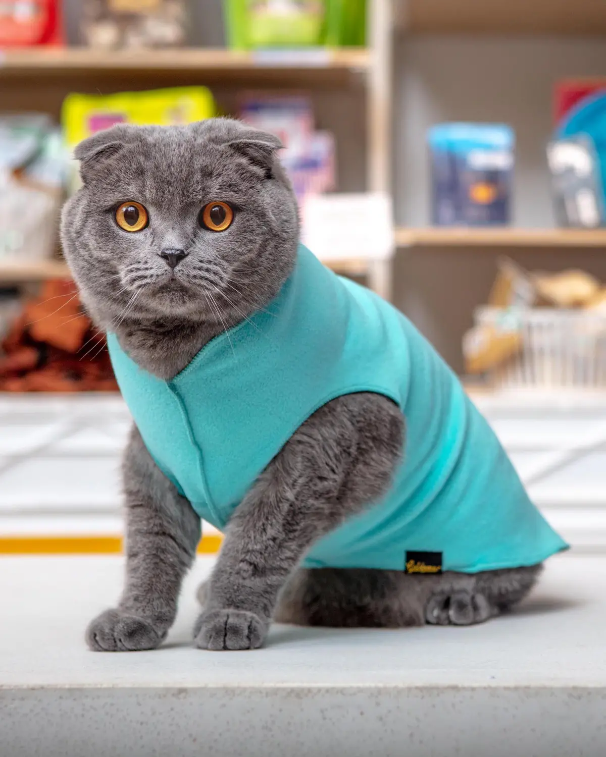 Stretch Fleece Pullover In Turquoise 1