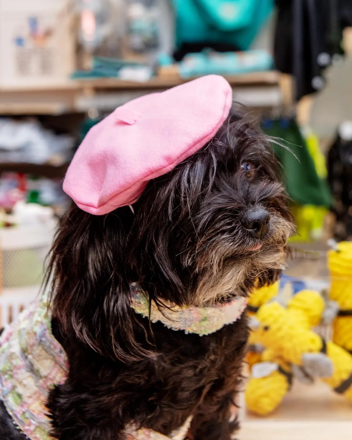 Pink Beret Petite Pet Hat (Made In The Usa) 1