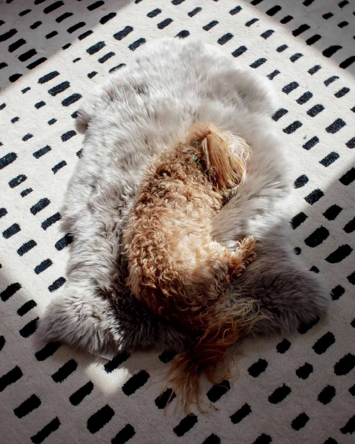 Natural Sheepskin Pet Throw In Chateau Grey (25"X37") 1