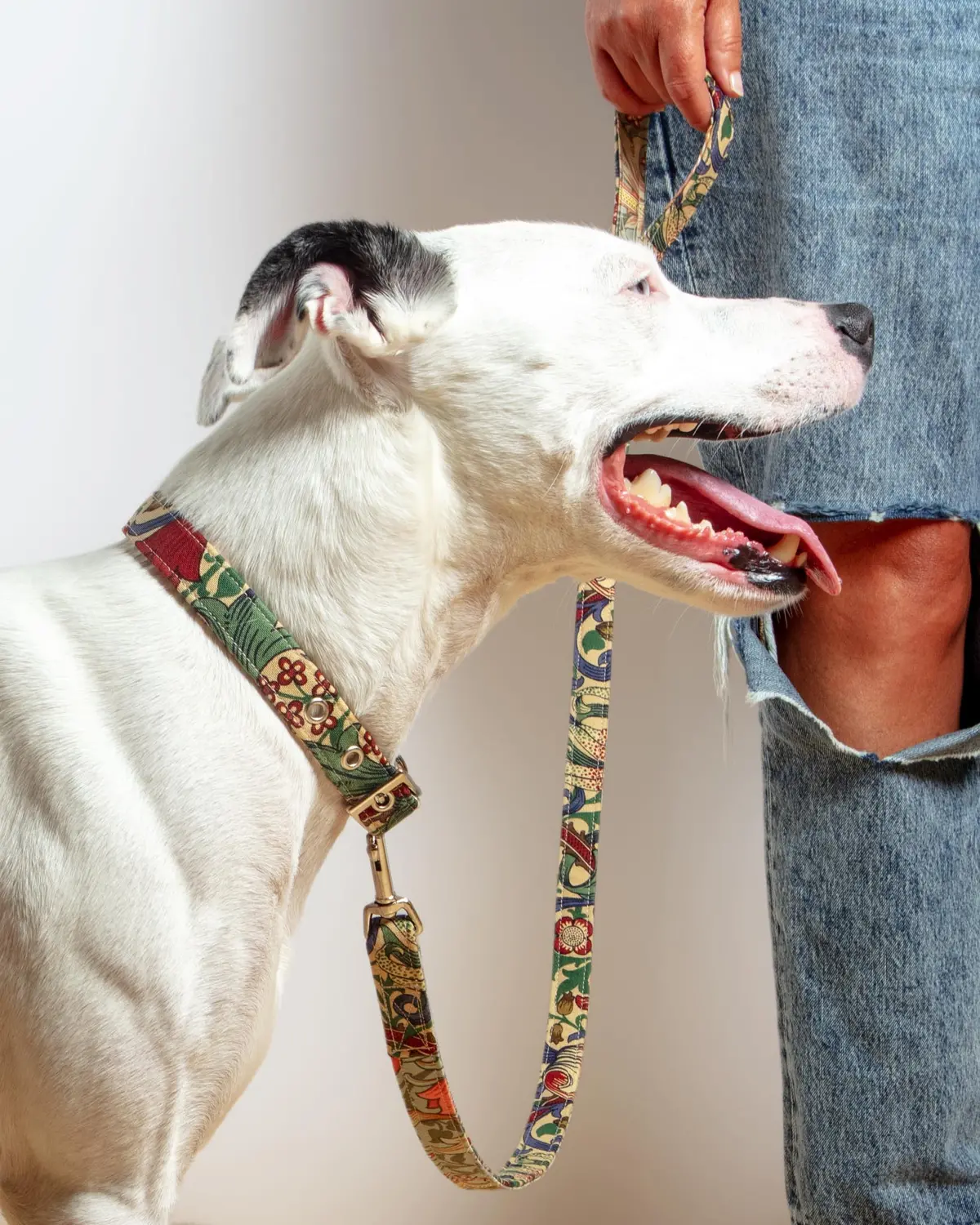 William Morris Golden Lily Print Dog Lead (Final Sale) 1