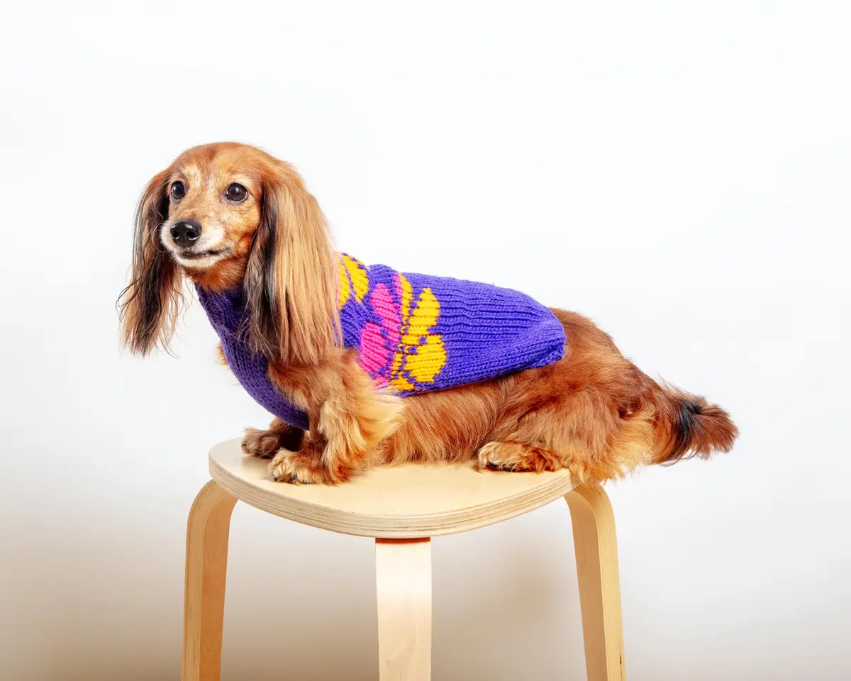 Flower Power Wool Dog Sweater (Final Sale) 1
