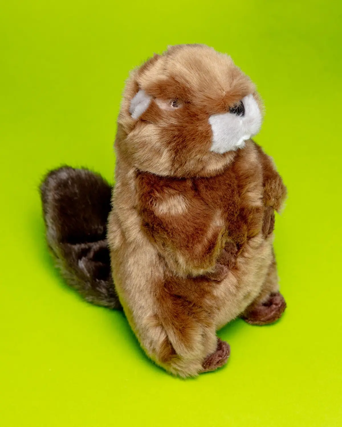 Troy The Beaver Plush Squeaky Dog Toy 1