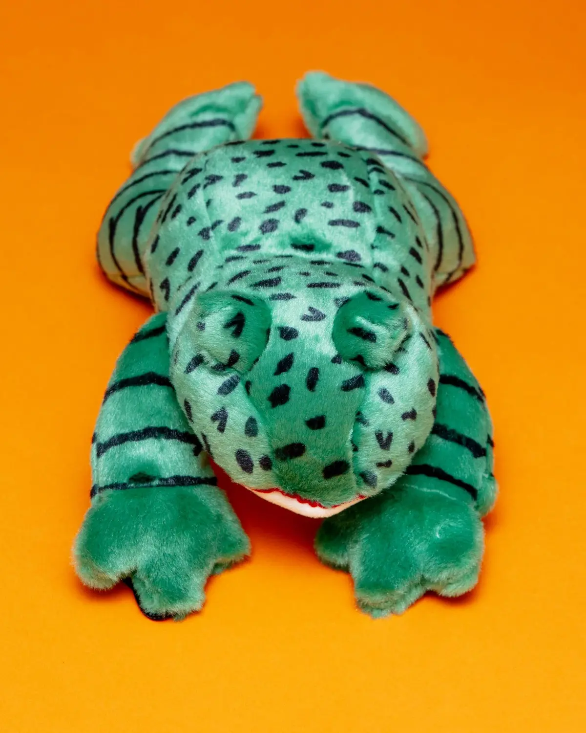 Oliver The Frog Plush Squeaky Dog Toy 1