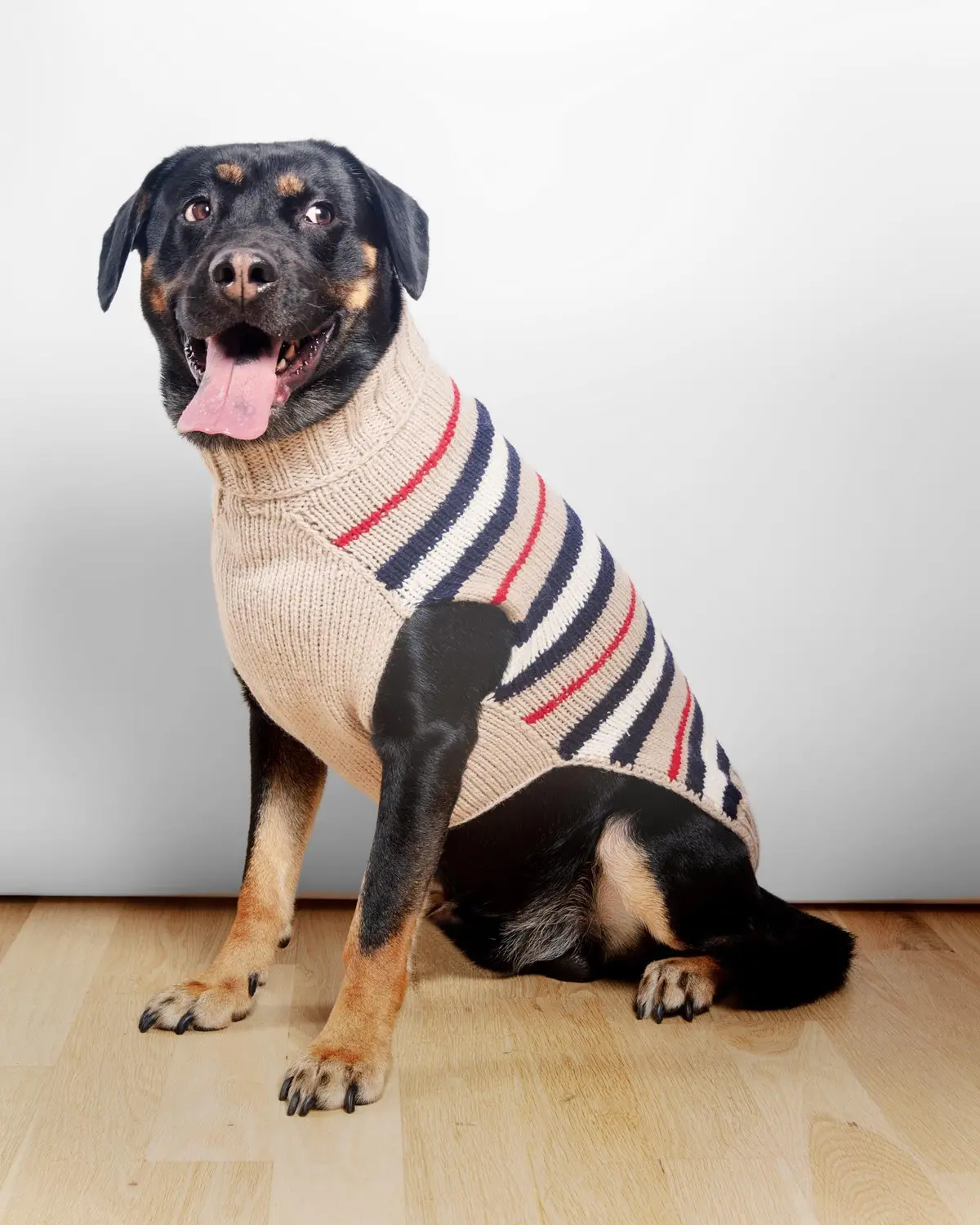 Bentley Alpaca Stripe Wool Dog Sweater (Final Sale) 1