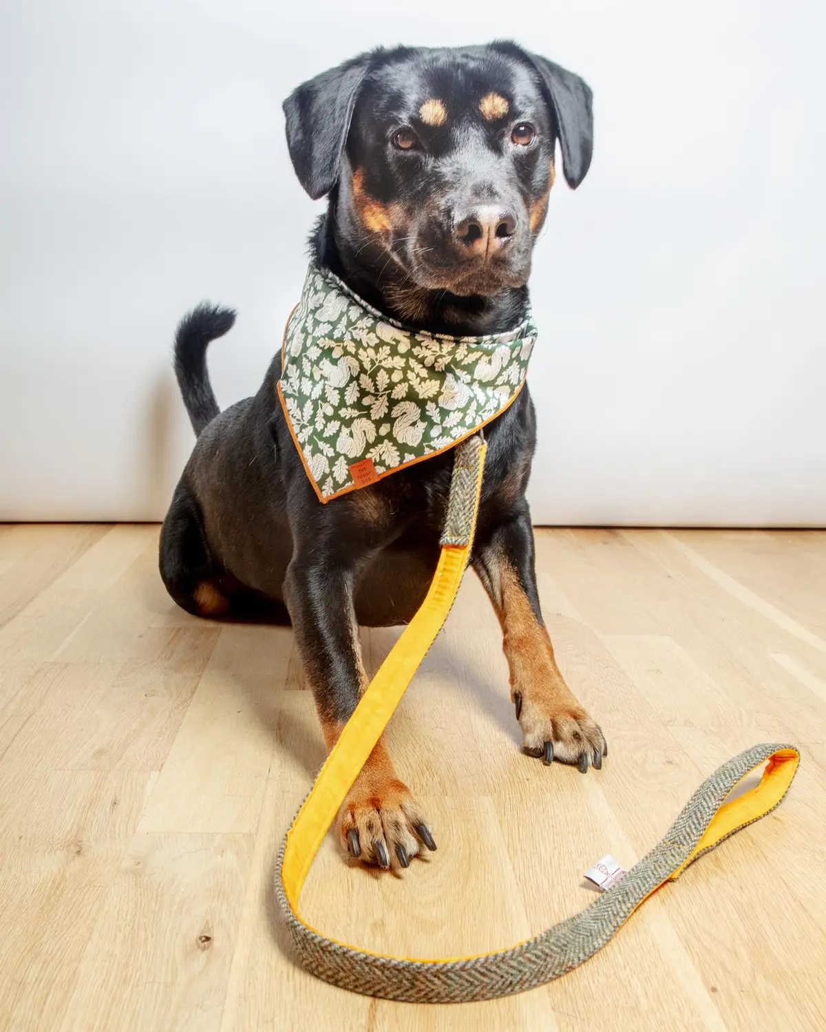 Eriskay Harris Tweed Dog Lead 1