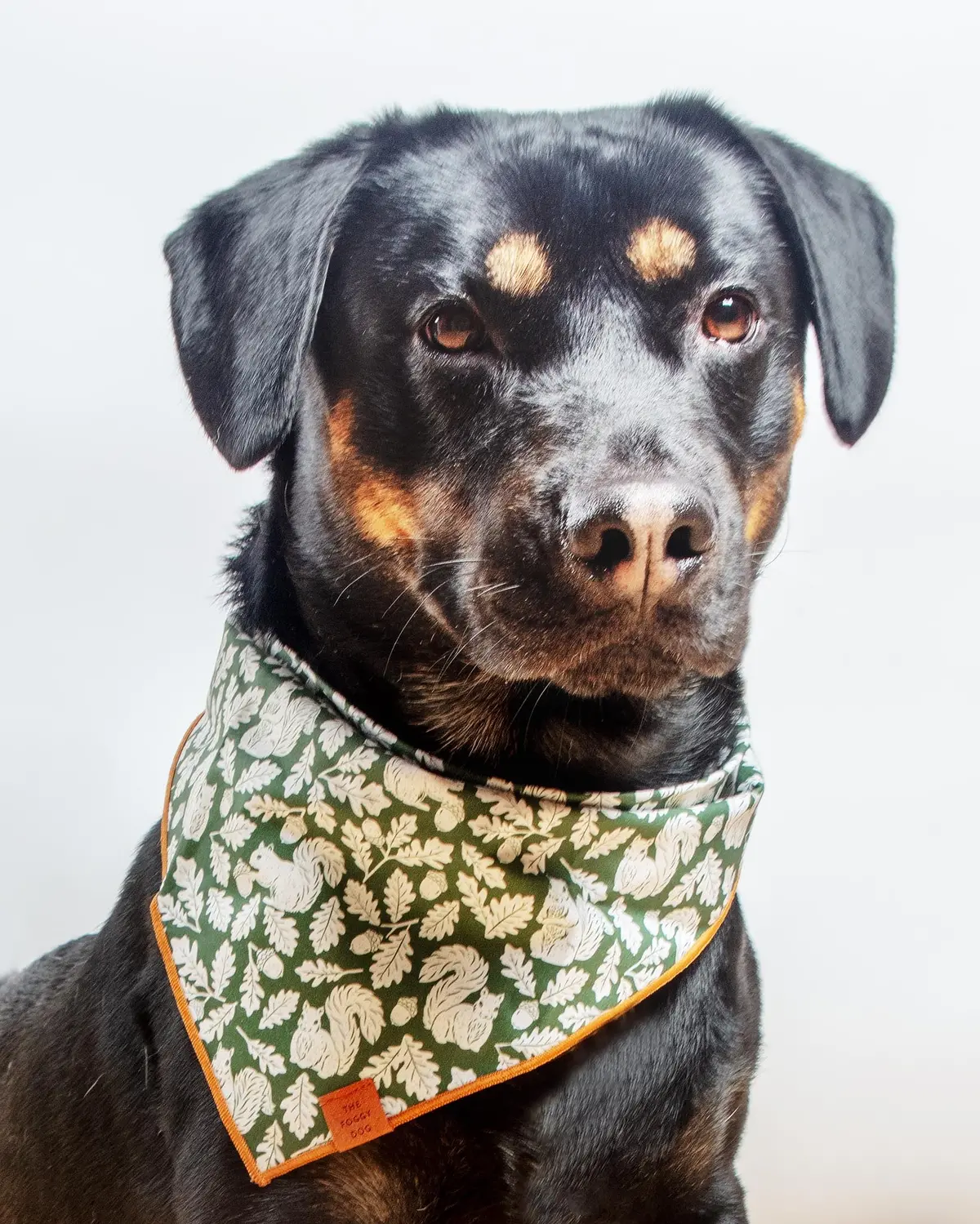 Fall Squirrel Dog Bandana (Made In The Usa) 1