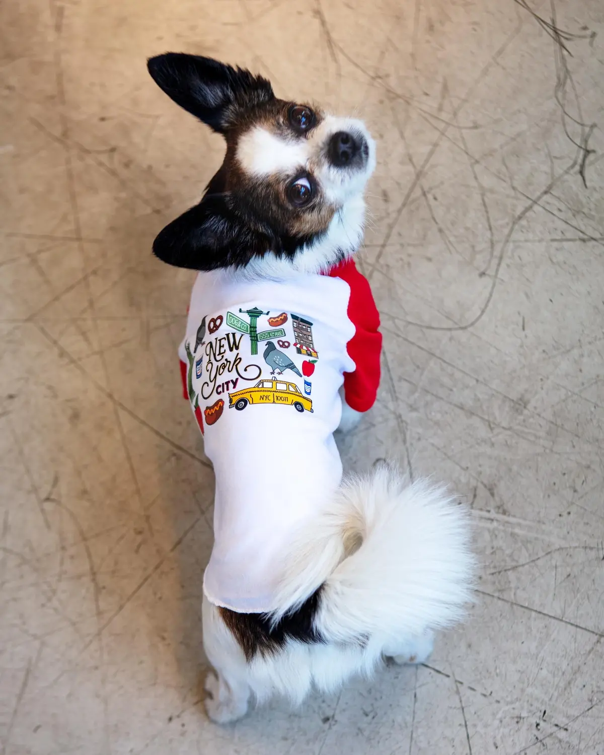 *New York City* Graphic Dog T-Shirt 1